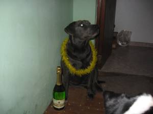 Manchita decided to drink her 12 grapes at midnight - JUST KIDDING!!!