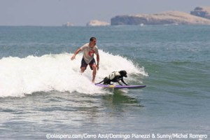 Domingo Pianezzi surfing with his dog