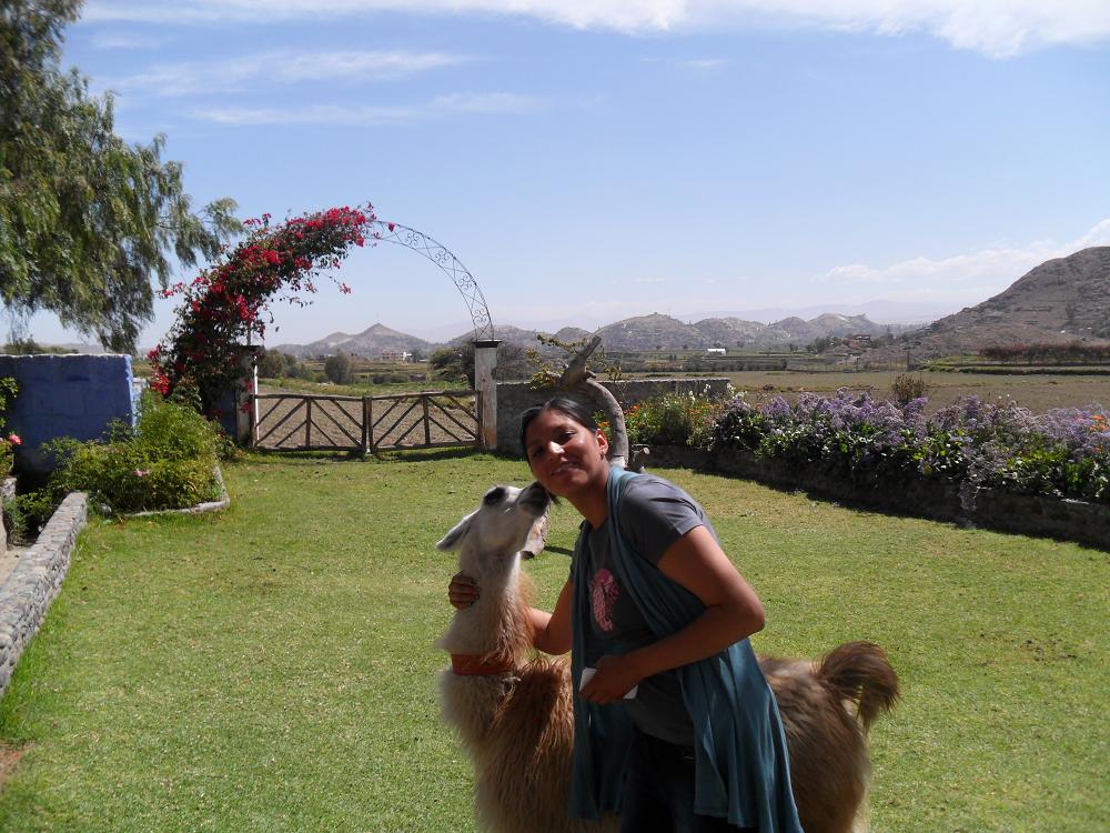 founders mansion arequipa peru