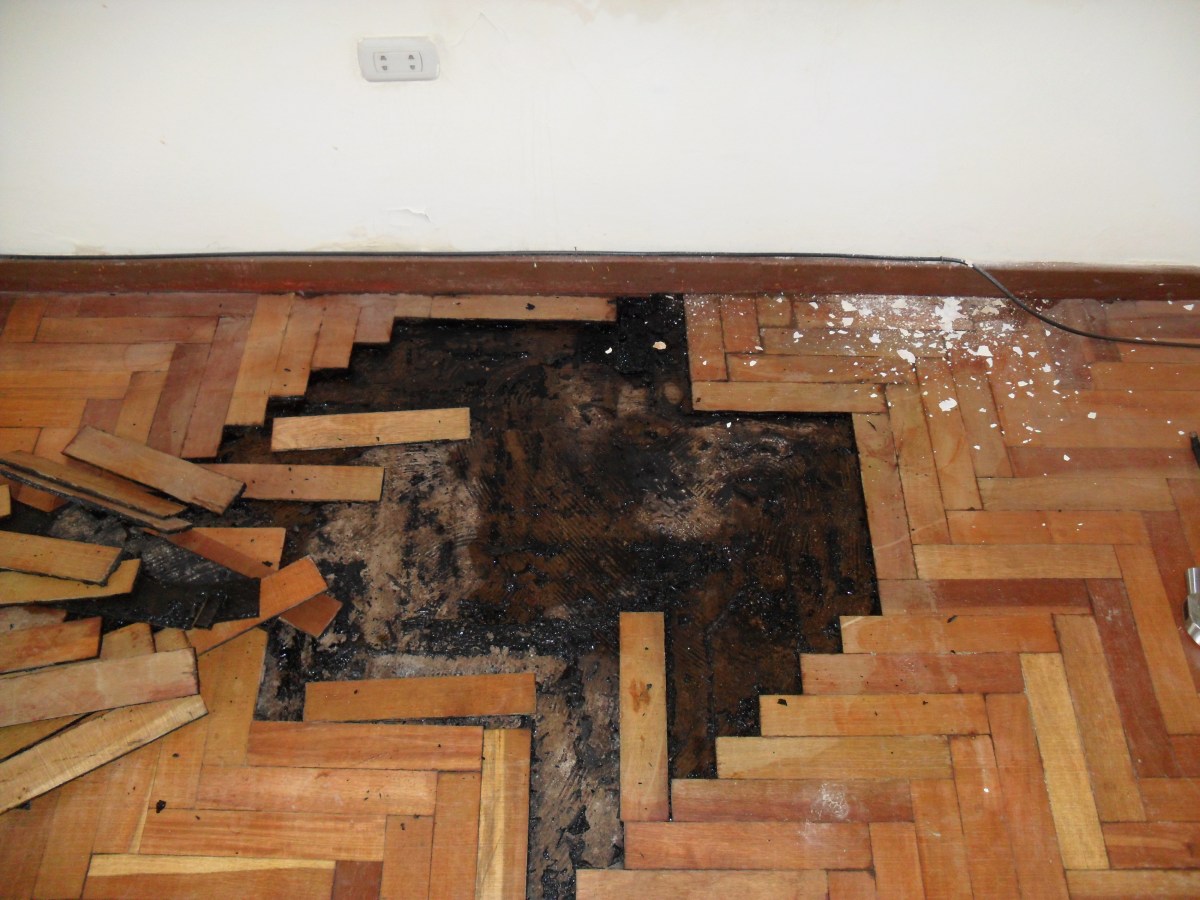 hardwood floor water damage